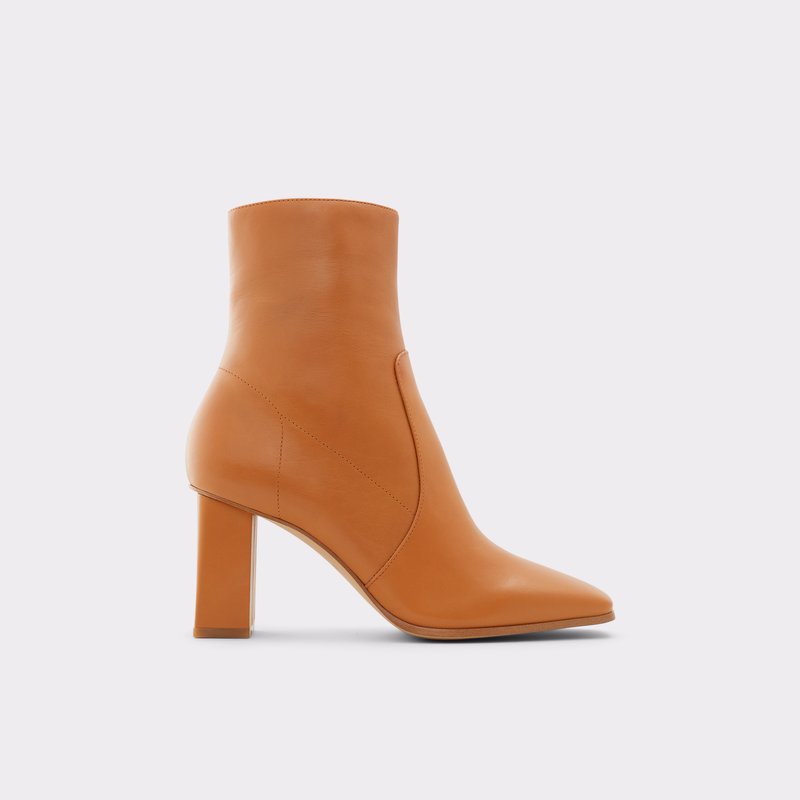 Bottes Habillées Aldo Theliven Femme Marron | BZXLNC-813