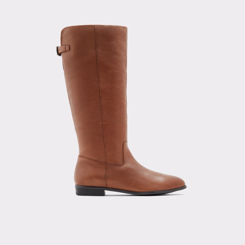 Knee High Boots Aldo Keesha-wwc Femme Marron | LMDGVO-271