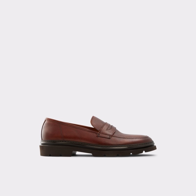 Loafers Aldo Droarien Homme Marron | PWCMYJ-614
