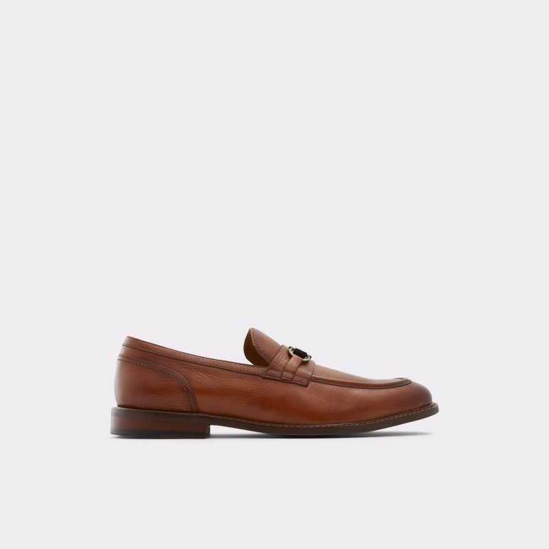 Loafers Aldo Schergerflex Homme Marron | VTQEWN-512