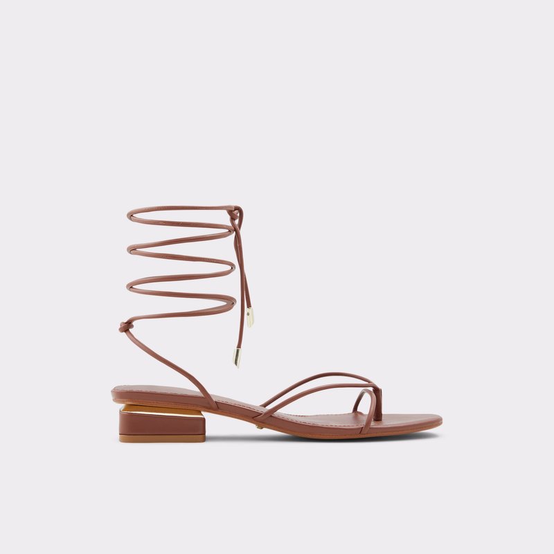 Sandales Plates Aldo Giannaflex Femme Marron | XROSAZ-739
