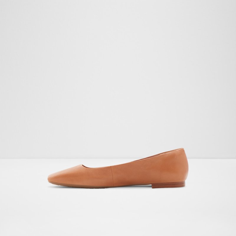 Ballerinas Aldo Koosaflex Femme Marron | AQHIXT-064