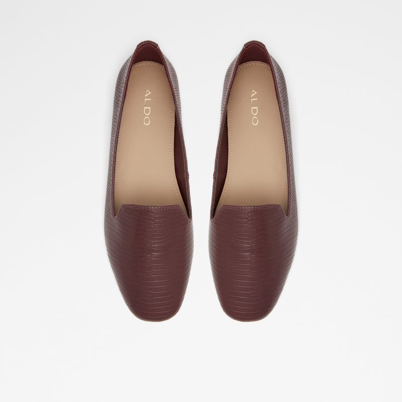 Ballerinas Aldo Rammen Femme Marron | YFMTKV-219