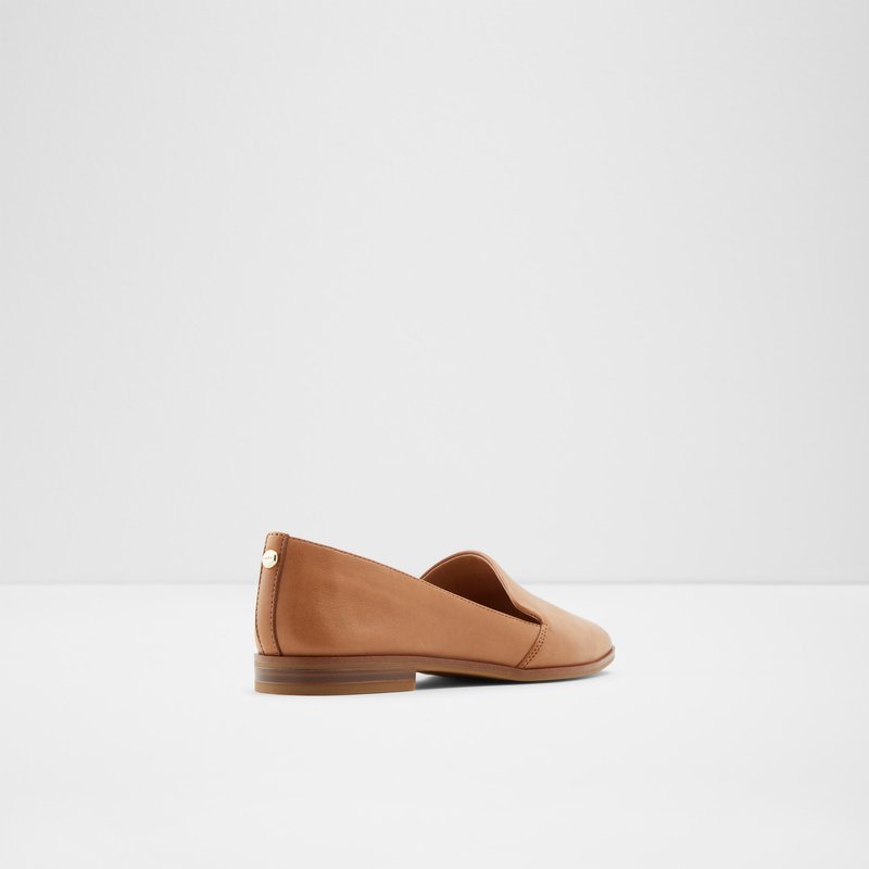 Ballerinas Aldo Veadith Femme Marron | BNCSRI-316