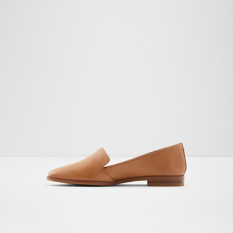 Ballerinas Aldo Veadith Femme Marron | BNCSRI-316