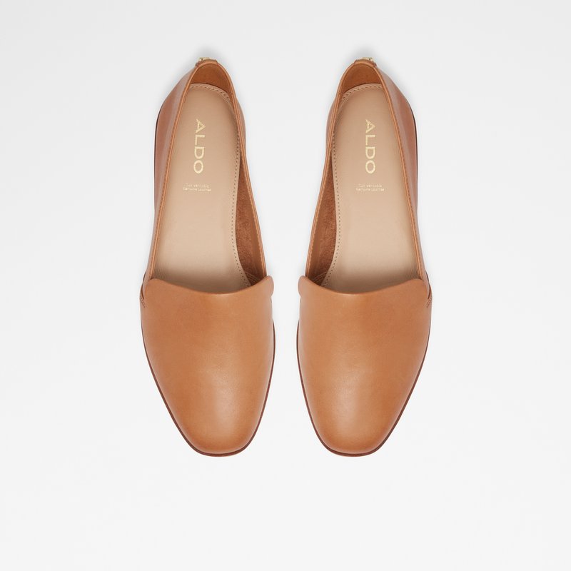 Ballerinas Aldo Veadith Femme Marron | BNCSRI-316