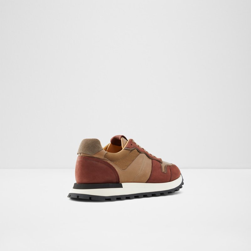 Baskets Aldo Huntingdale Low Homme Marron | RJHNQS-054
