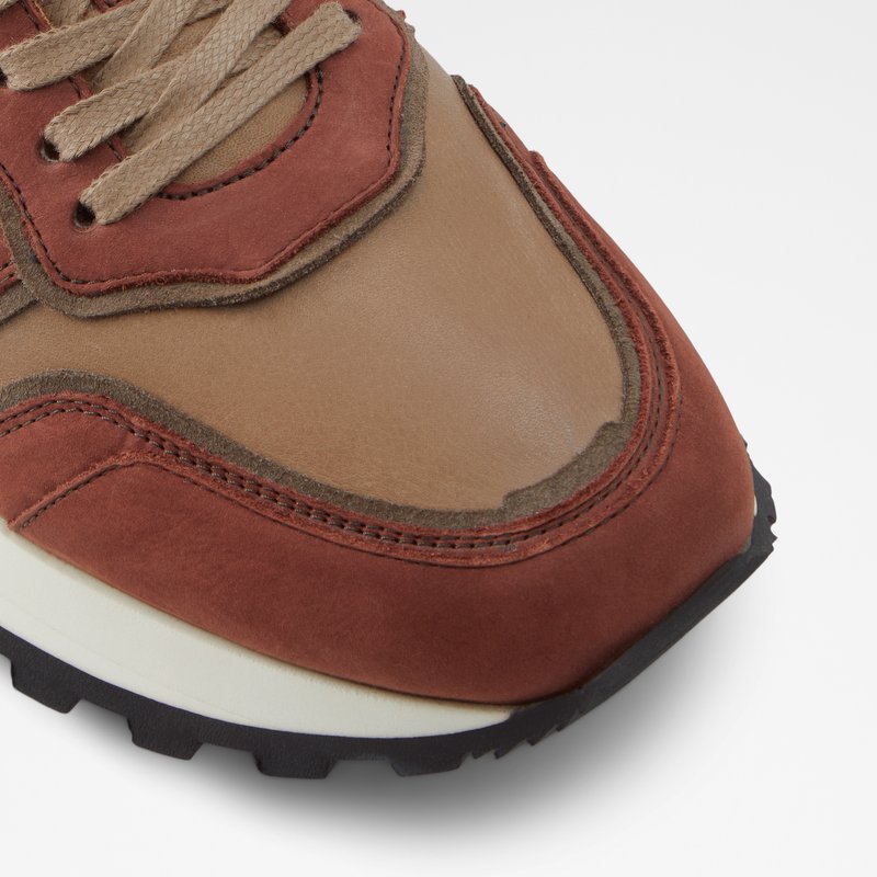 Baskets Aldo Huntingdale Low Homme Marron | RJHNQS-054