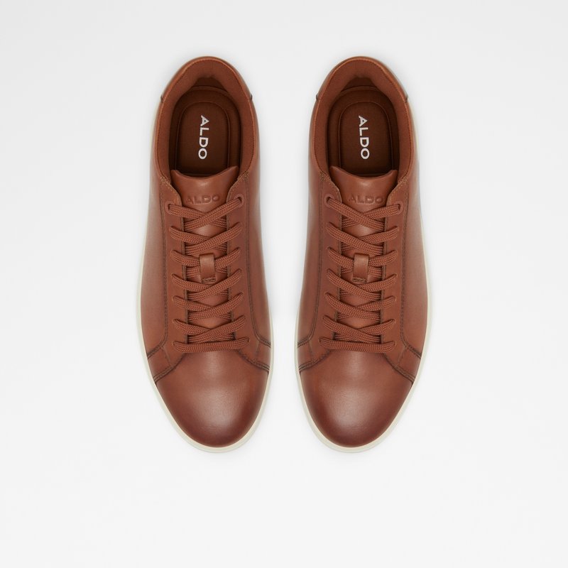 Baskets Aldo Wiresien Low Homme Marron | HOBZTC-264