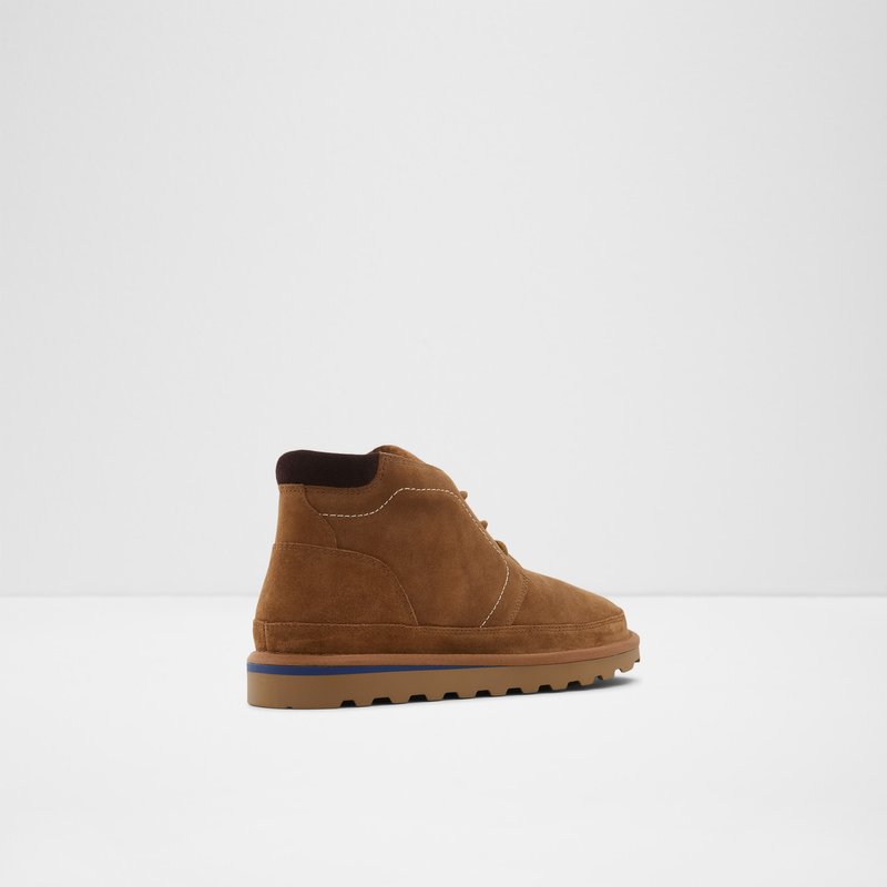 Bottes D'hiver Aldo Eowerrap Homme Marron | BCVIOK-758