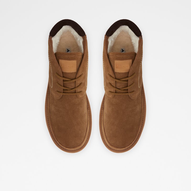 Bottes D'hiver Aldo Eowerrap Homme Marron | BCVIOK-758