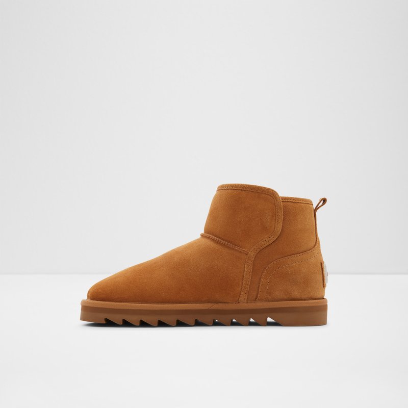 Bottes D'hiver Aldo Penguina Femme Beige | TGQYNI-812