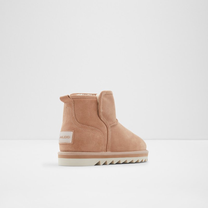Bottes D'hiver Aldo Penguina Femme Grise | HRZYBO-701