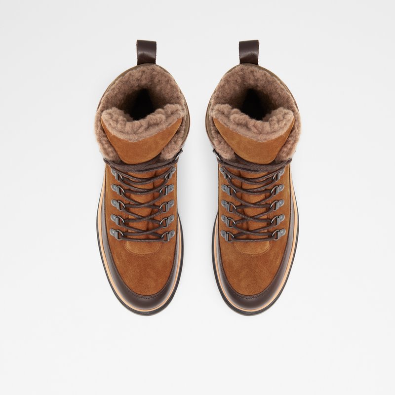 Bottes D'hiver Aldo Rambler Homme Marron | KHMQIG-570