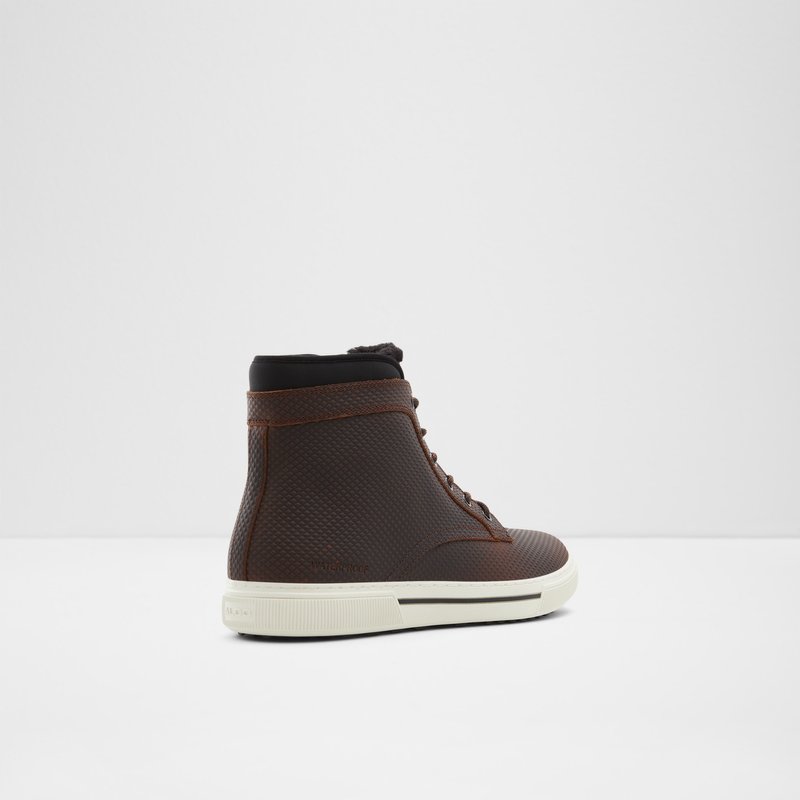 Bottes D'hiver Aldo Tewdor Homme Marron | AZBIQN-548