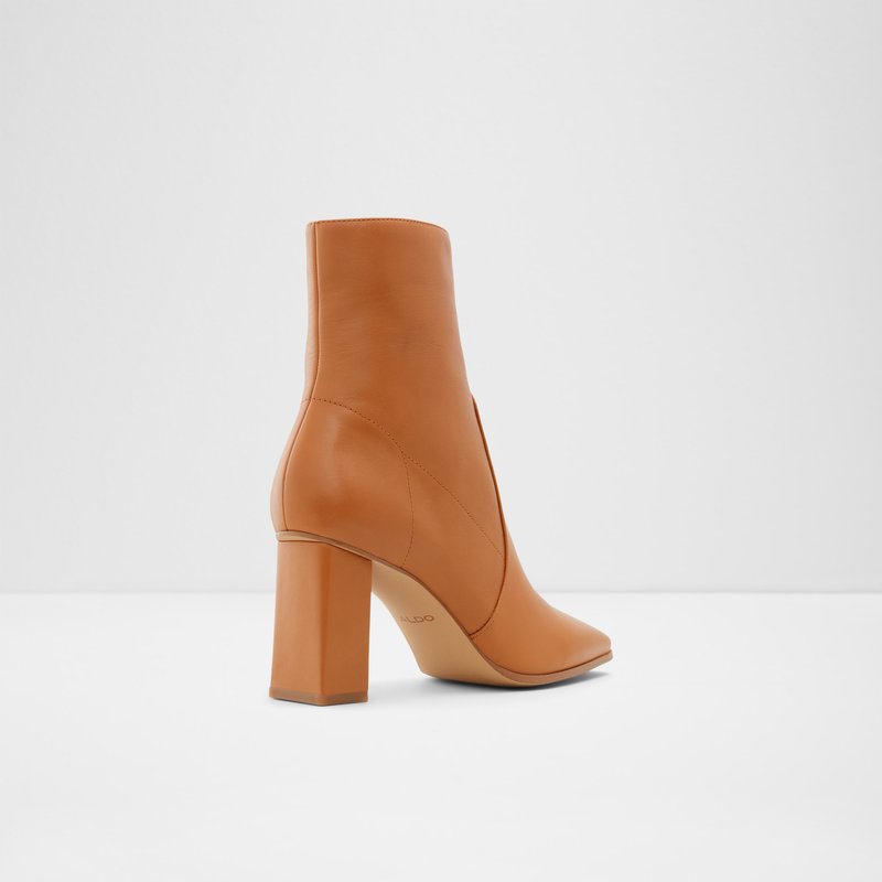 Bottes Habillées Aldo Theliven Femme Marron | BZXLNC-813