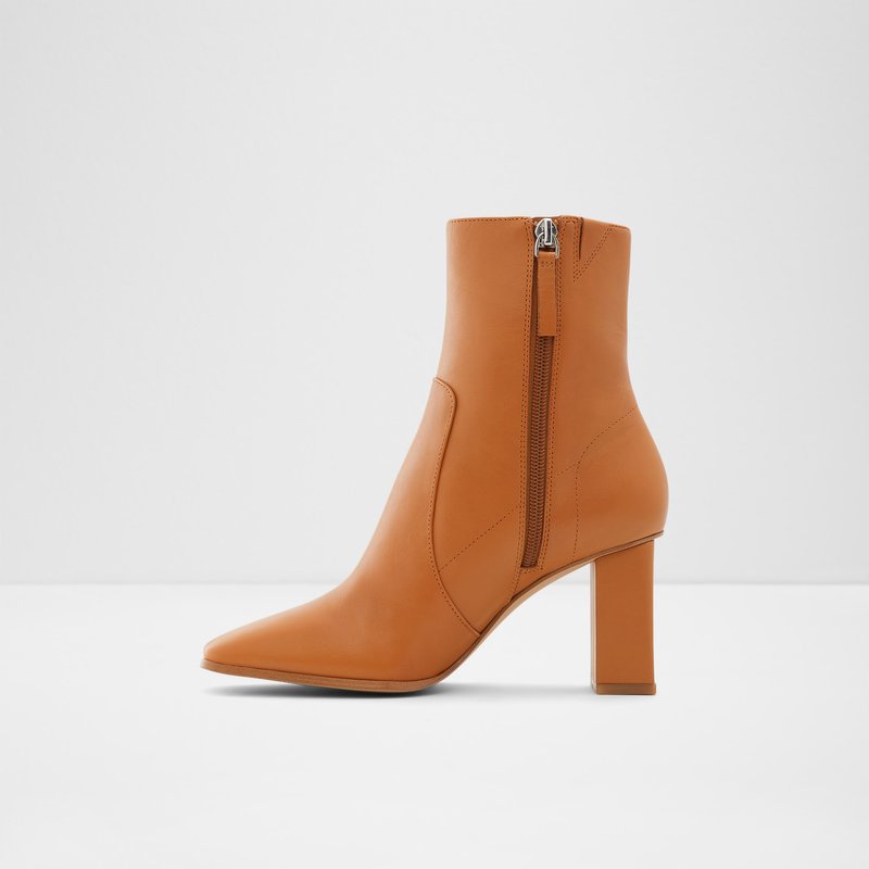Bottes Habillées Aldo Theliven Femme Marron | BZXLNC-813