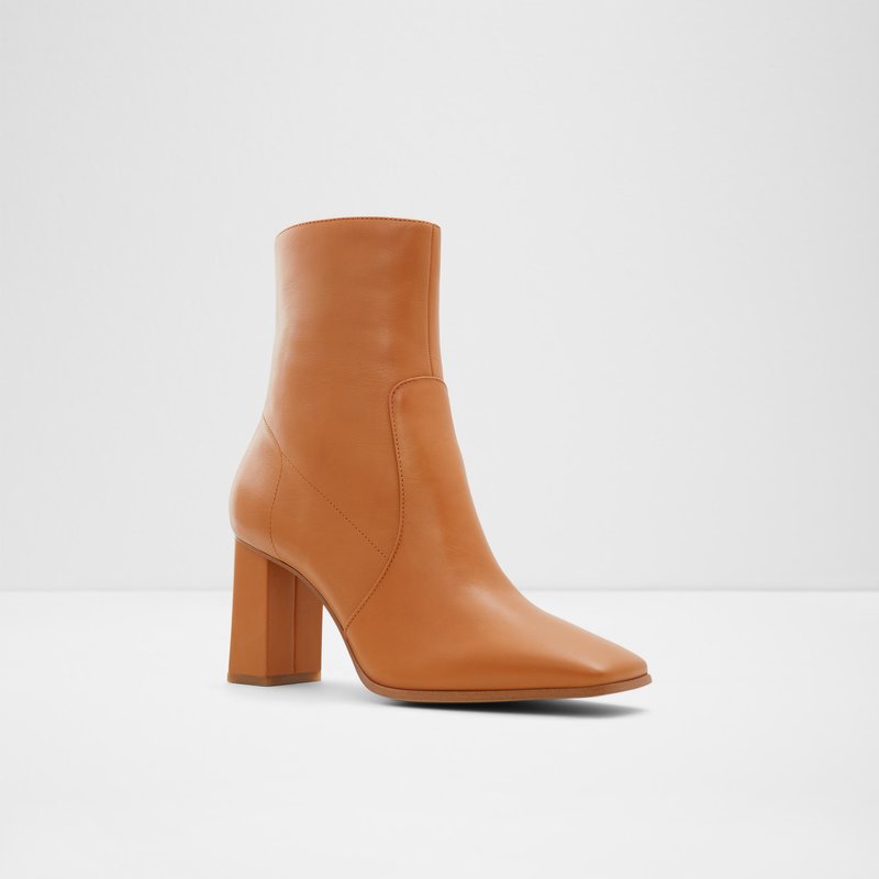 Bottes Habillées Aldo Theliven Femme Marron | BZXLNC-813