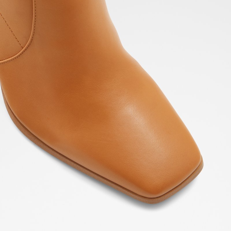 Bottes Habillées Aldo Theliven Femme Marron | BZXLNC-813
