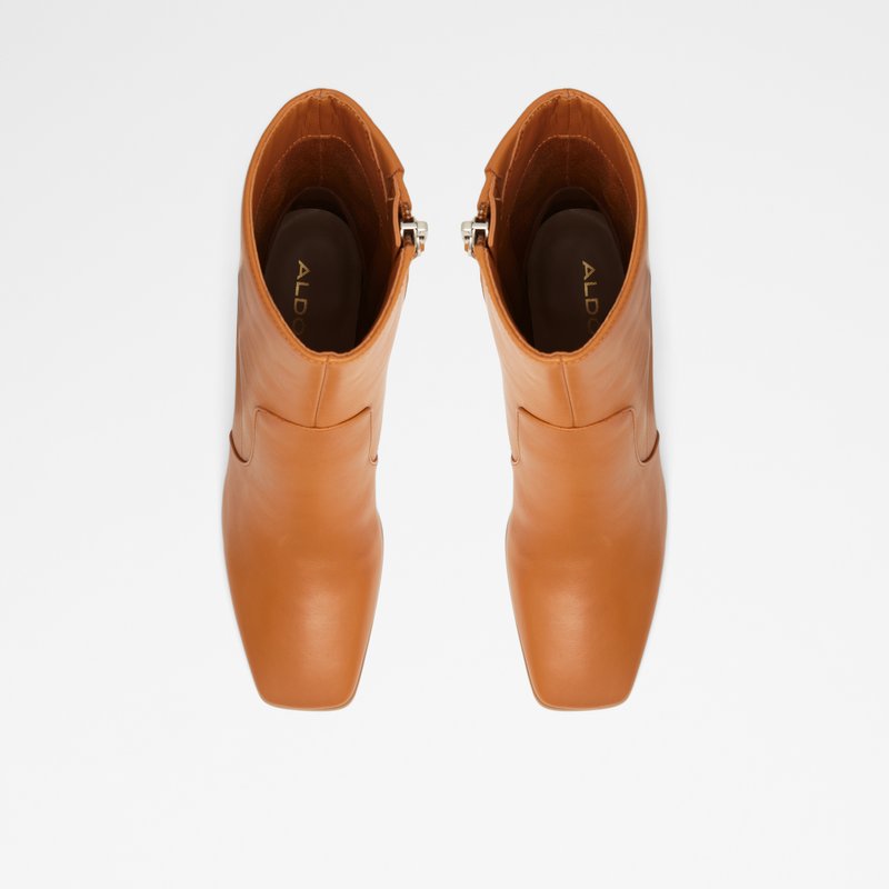 Bottes Habillées Aldo Theliven Femme Marron | BZXLNC-813