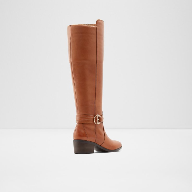 Bottes Hautes Aldo Amby Femme Marron | ATOFWC-917