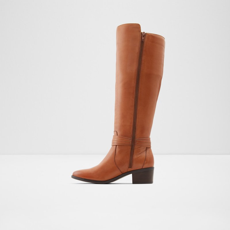 Bottes Hautes Aldo Amby Femme Marron | ATOFWC-917