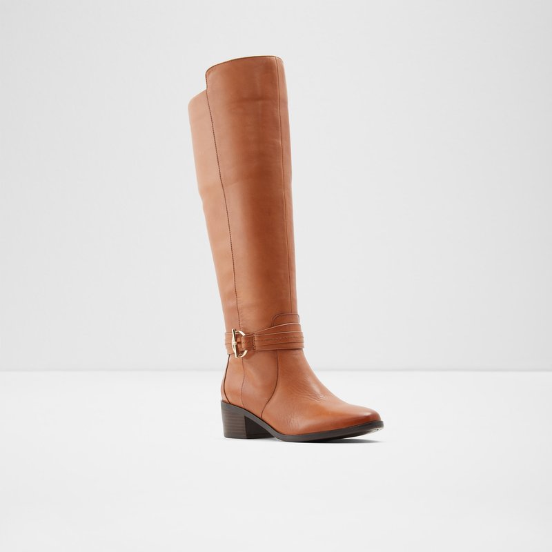 Bottes Hautes Aldo Amby Femme Marron | ATOFWC-917