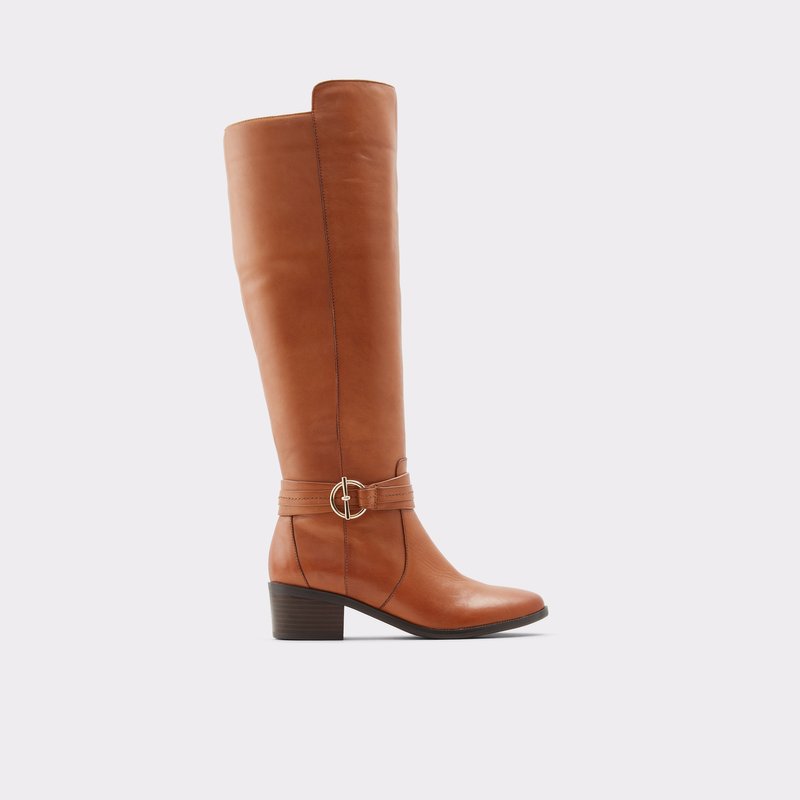 Bottes Hautes Aldo Amby Femme Marron | ATOFWC-917