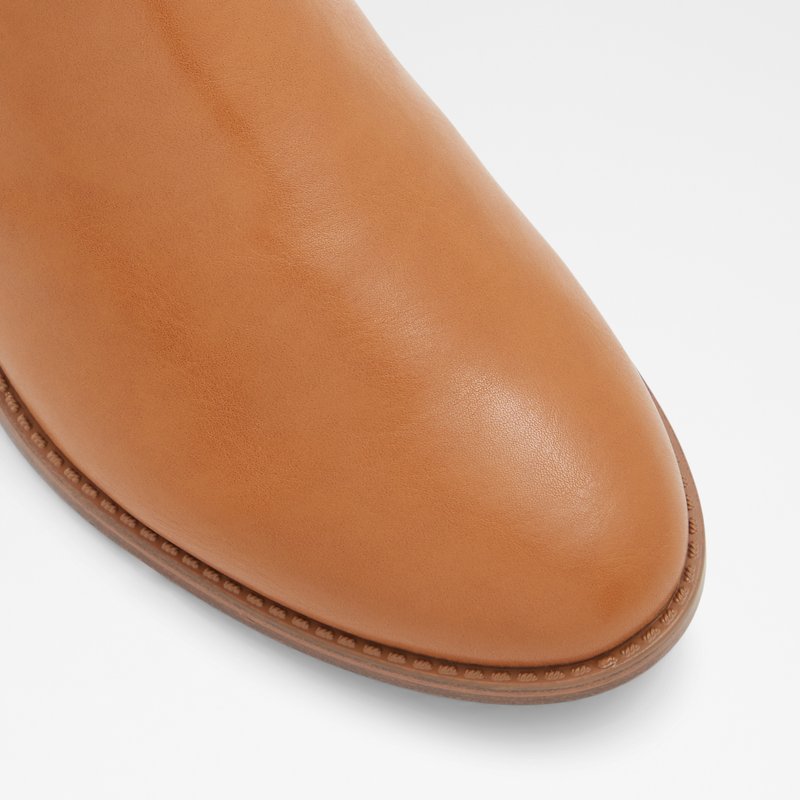 Bottines Chelsea Aldo Abyviel Femme Marron | UJQRVW-691