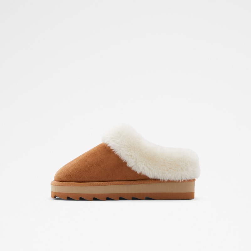 Chaussons Aldo Ethaynad Femme Marron | TAQNOD-694