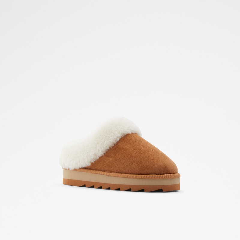 Chaussons Aldo Ethaynad Femme Marron | TAQNOD-694