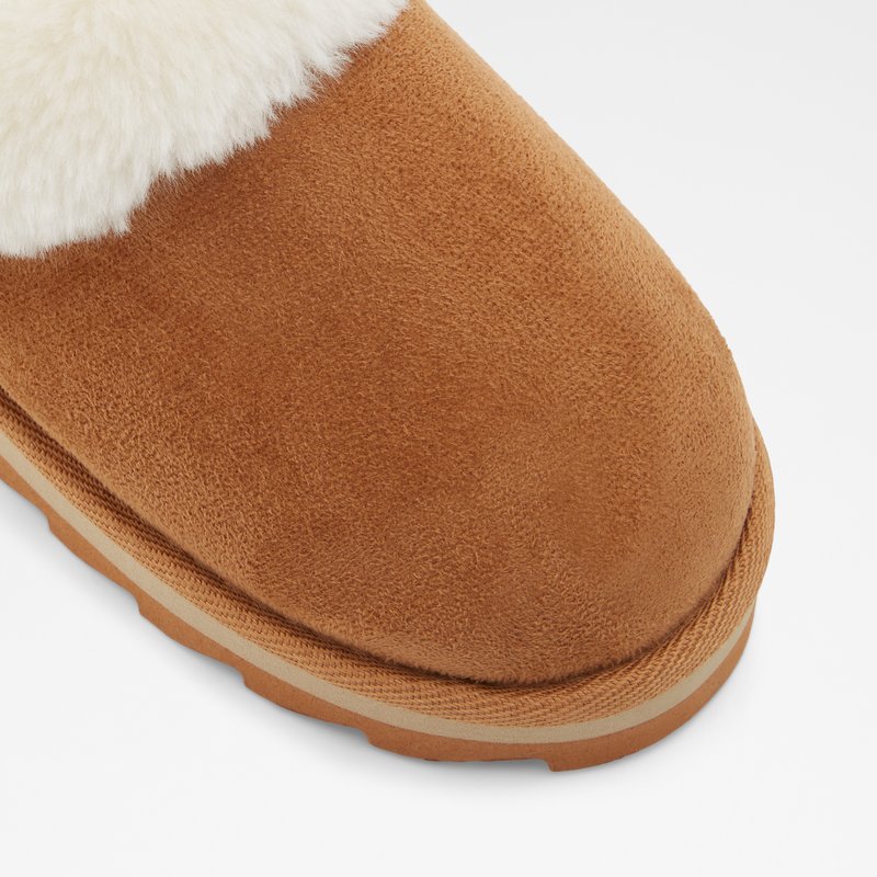 Chaussons Aldo Ethaynad Femme Marron | TAQNOD-694