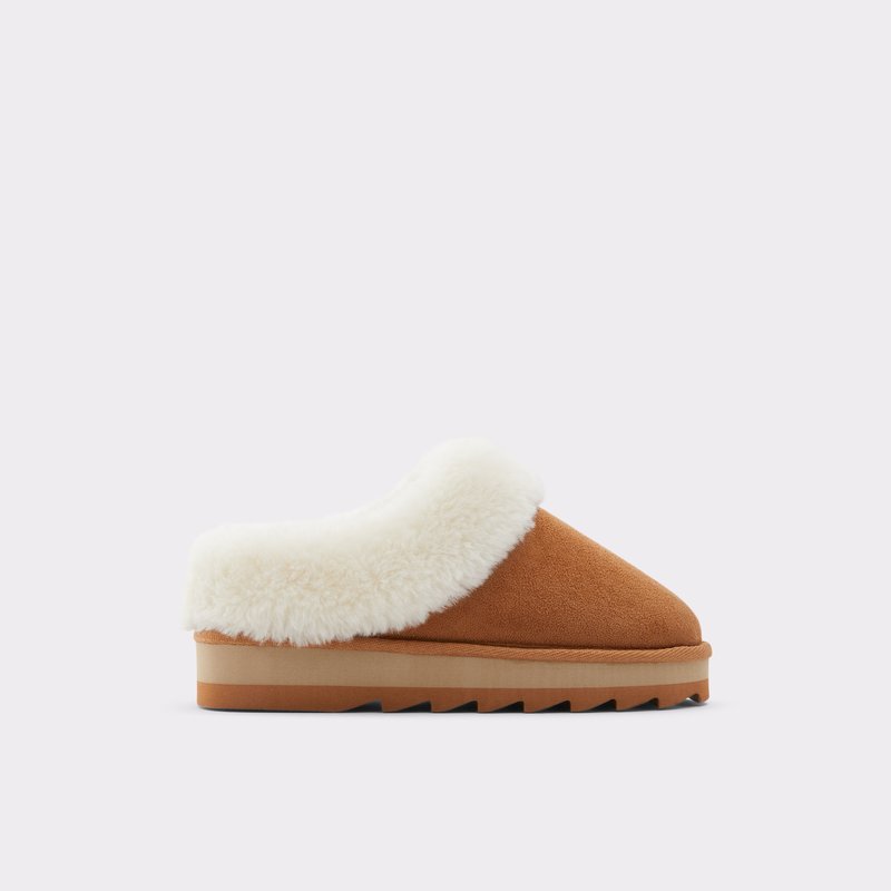 Chaussons Aldo Ethaynad Femme Marron | TAQNOD-694