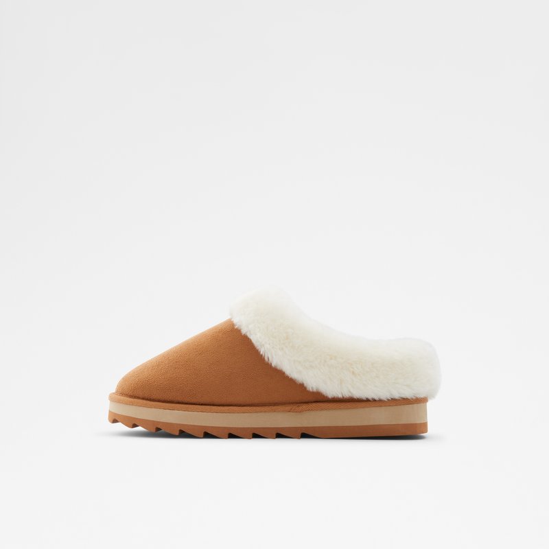Chaussons Aldo Weidia Homme Marron | QXZKAH-342