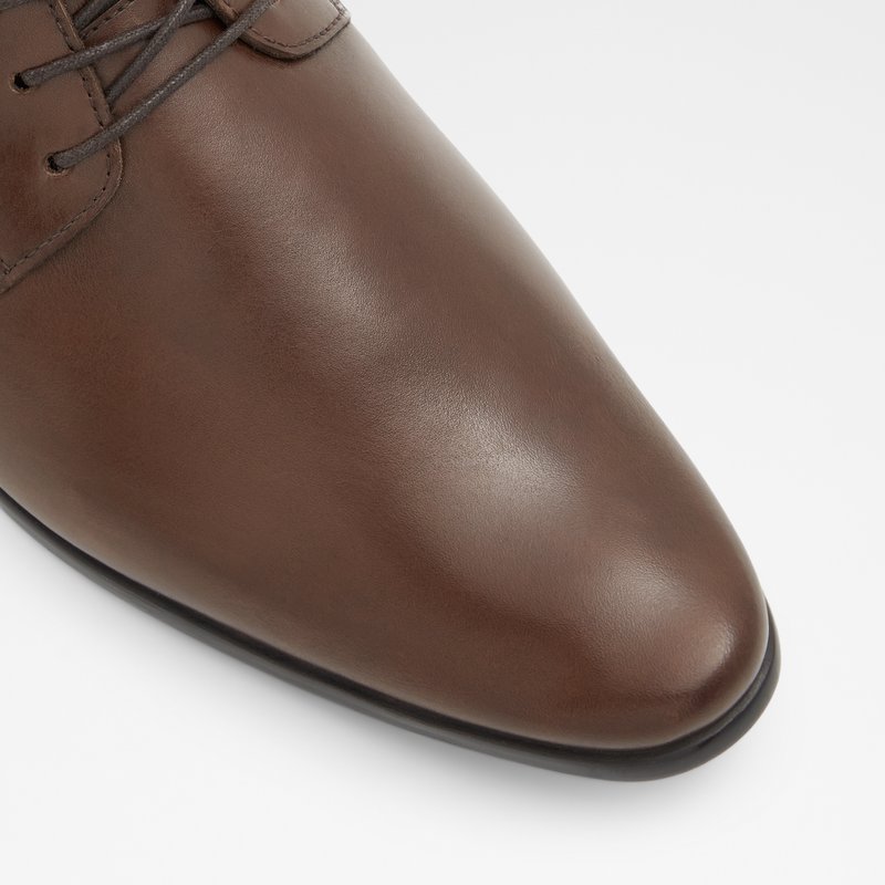 Chaussures Habillées Aldo Gerrier Homme Marron | CMGUKE-739