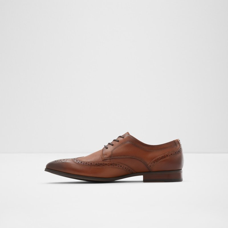 Chaussures Habillées Aldo Thiasien Homme Marron | ALRECT-956