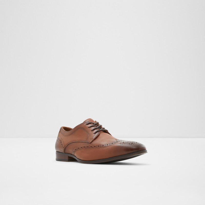 Chaussures Habillées Aldo Thiasien Homme Marron | ALRECT-956