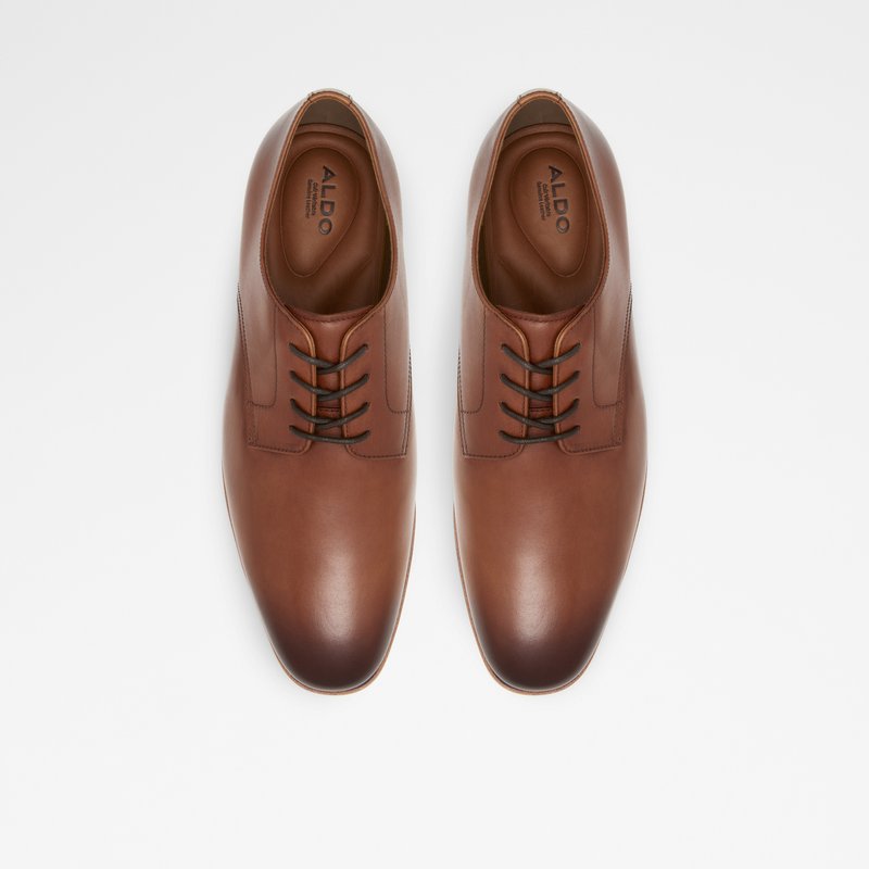 Chaussures Habillées Aldo Tolkien Homme Marron | SPUJFE-174