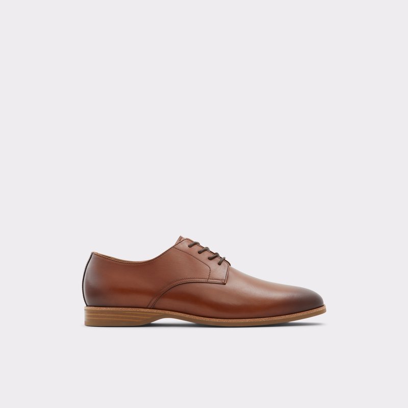 Chaussures Habillées Aldo Tolkien Homme Marron | SPUJFE-174