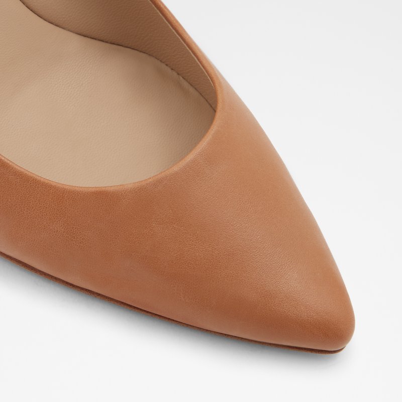 Escarpins Aldo Coronitiflex Femme Marron | IWASLC-034
