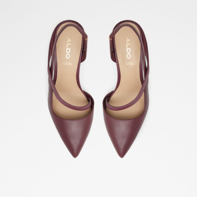 Escarpins Aldo Noideaa Femme Marron | DKMCHT-840
