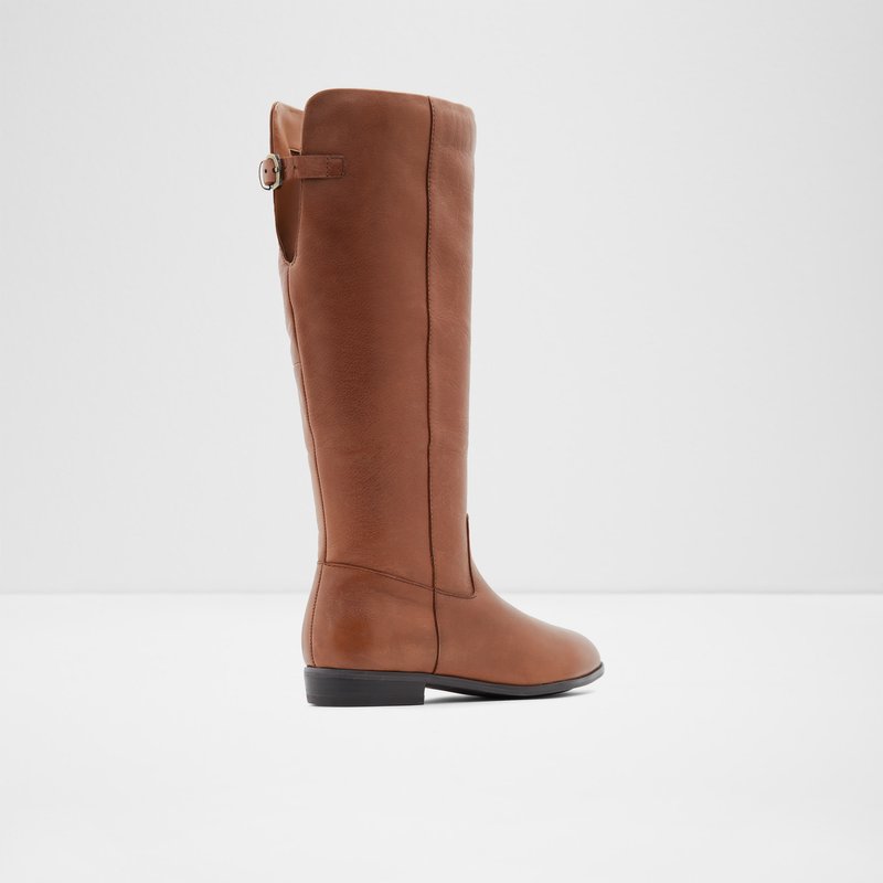Knee High Boots Aldo Keesha Femme Marron | NZFOYV-280