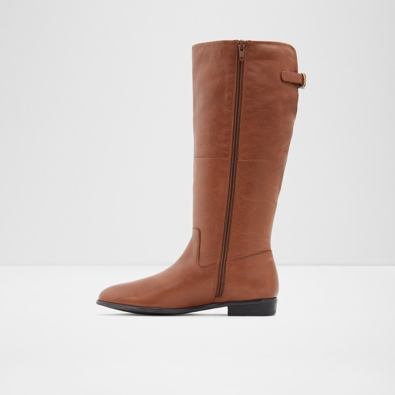 Knee High Boots Aldo Keesha Femme Marron | NZFOYV-280