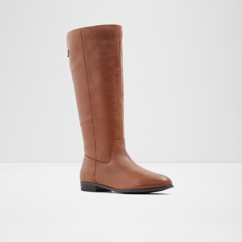 Knee High Boots Aldo Keesha Femme Marron | NZFOYV-280