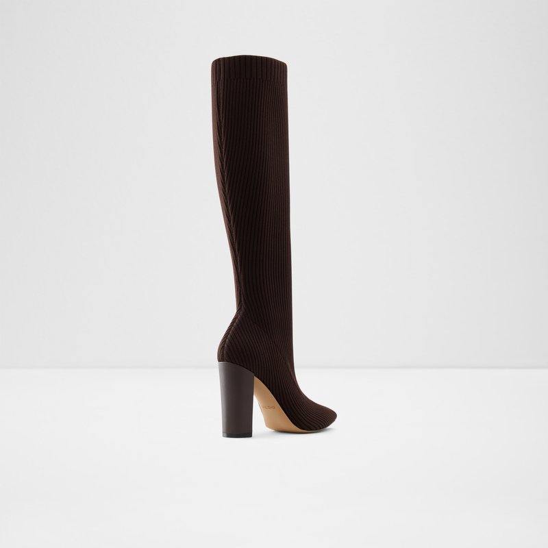 Knee High Boots Aldo Lowereast Femme Marron | EFCVRJ-732