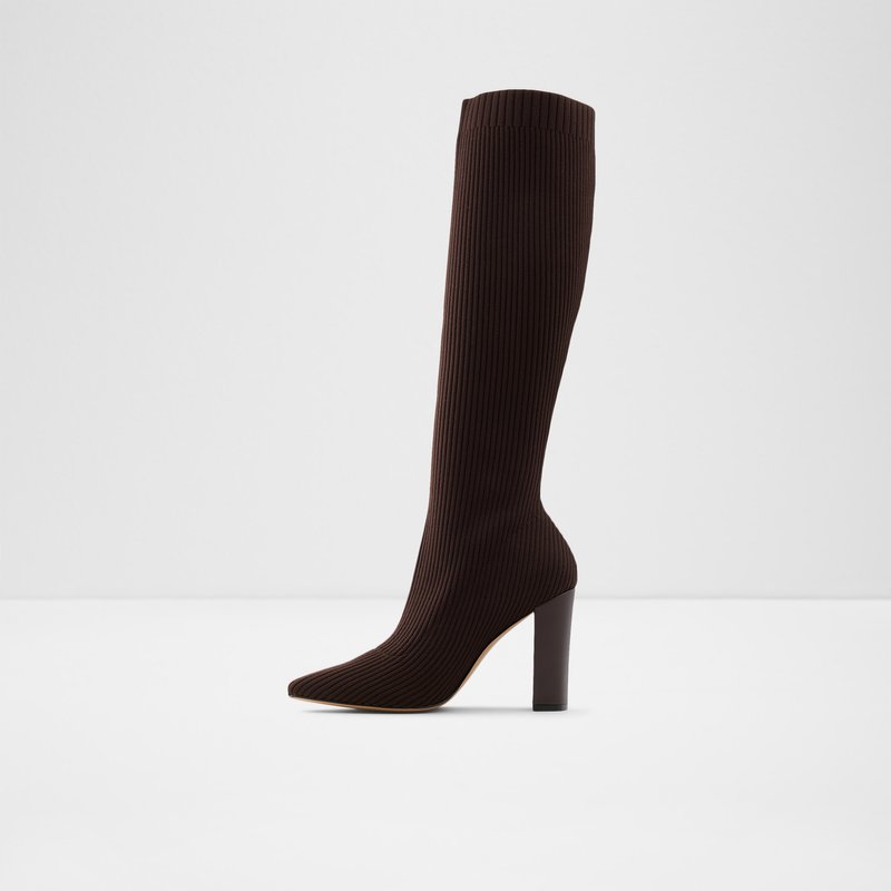 Knee High Boots Aldo Lowereast Femme Marron | EFCVRJ-732