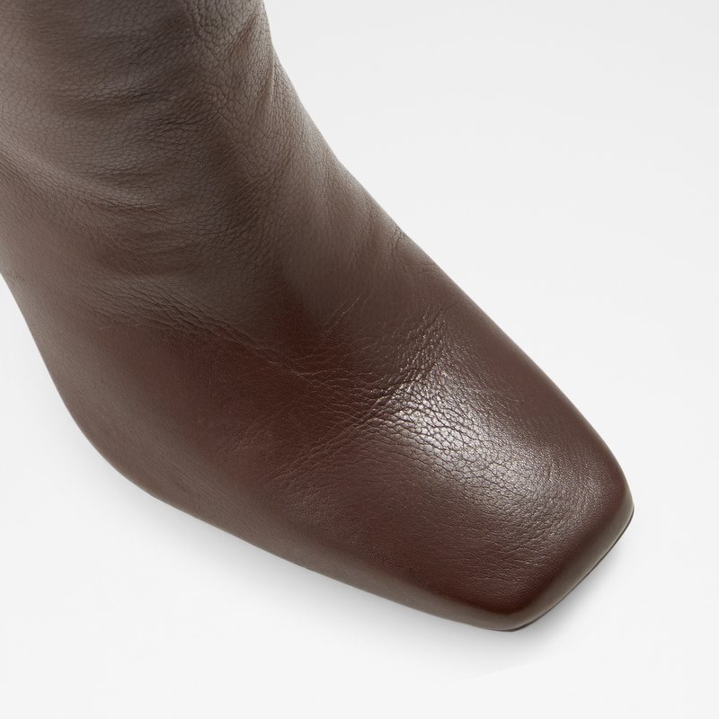 Knee High Boots Aldo Oluria Femme Marron | WTBAQN-798