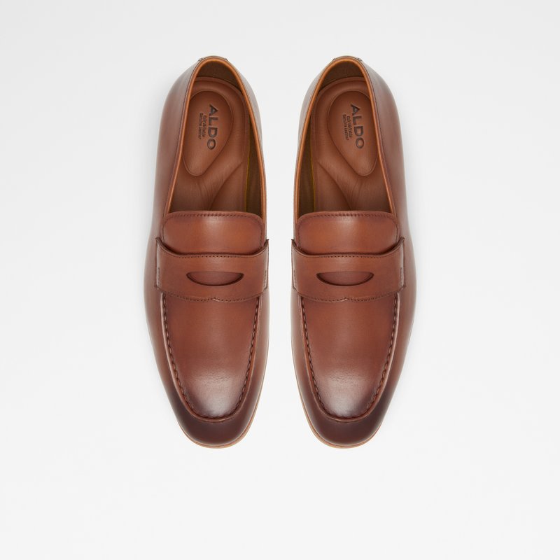 Loafers Aldo Byron Homme Marron | WEPXJR-463