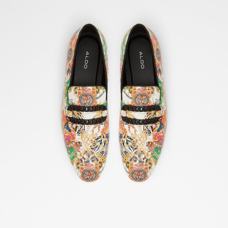 Loafers Aldo Connery Homme Multicolore | YUBSKV-128