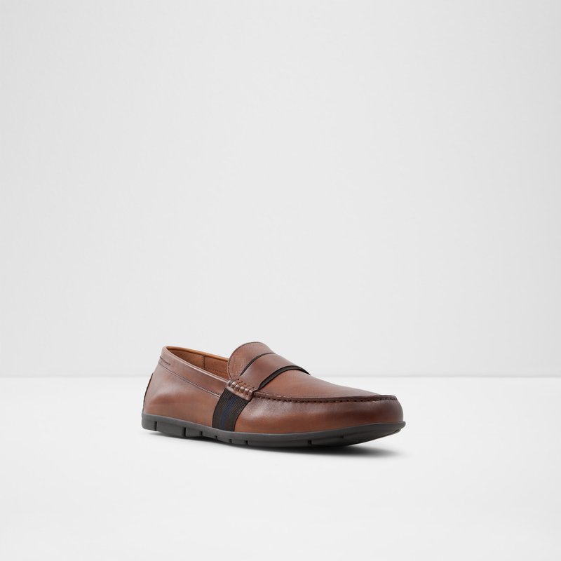 Loafers Aldo Damianflex-w Homme Marron | NQCDVL-617